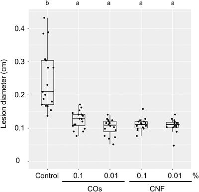 Chitin-induced systemic disease resistance in rice requires both OsCERK1 and OsCEBiP and is mediated via perturbation of cell-wall biogenesis in leaves